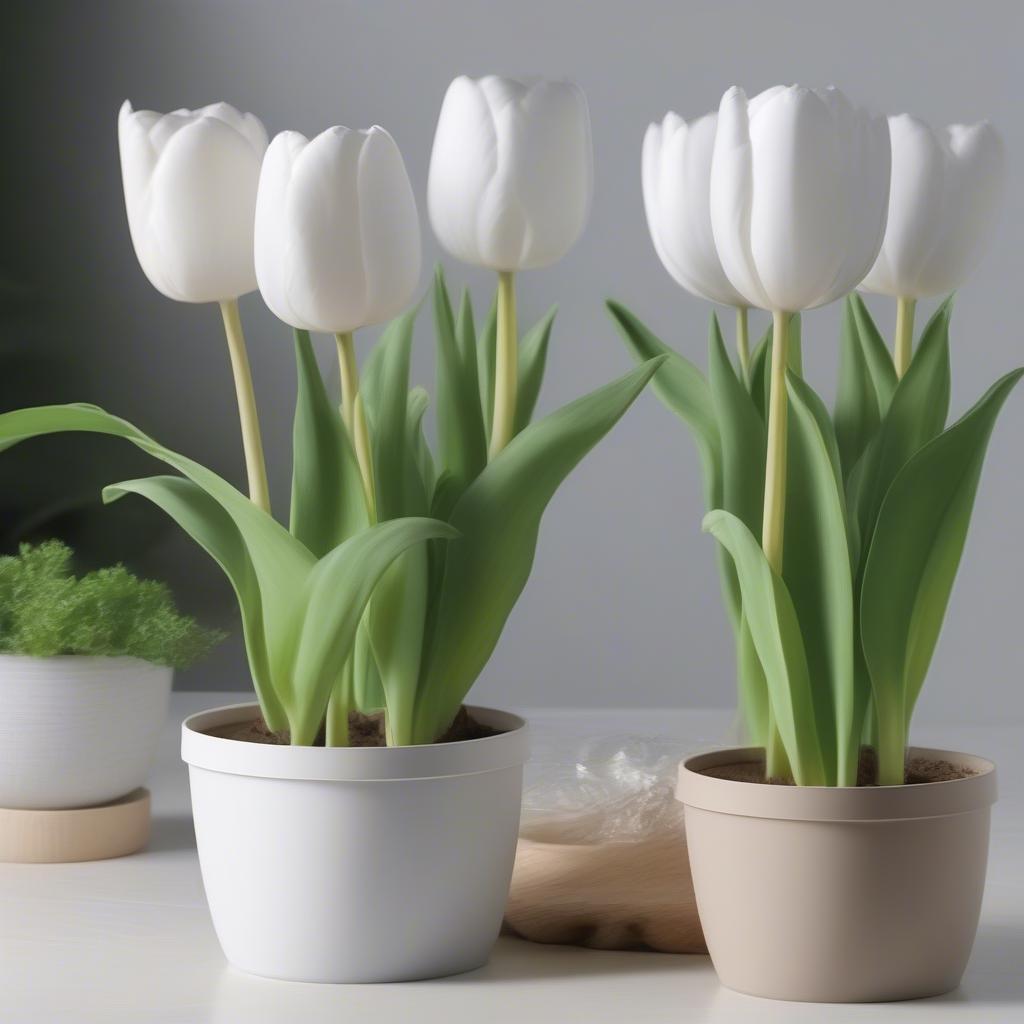 Ưu điểm của chậu nhựa trắng hoa tulip: bền, nhẹ, dễ vệ sinh, giá rẻ