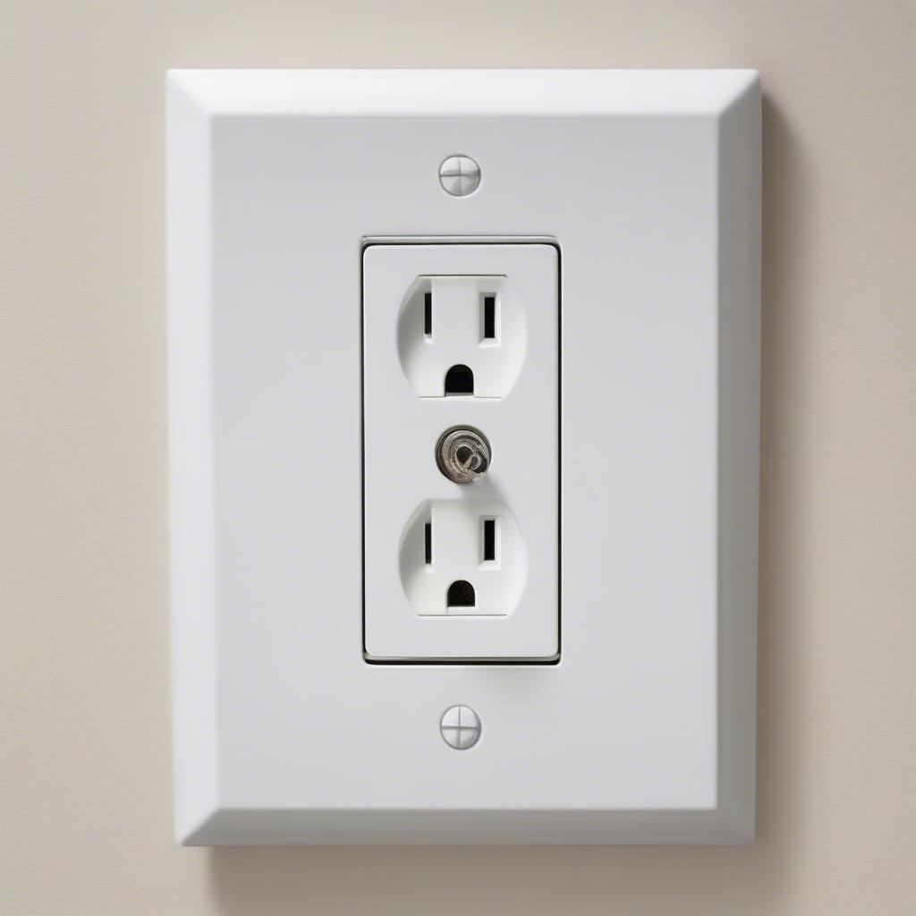 Chụp Nhựa Công Tắc Tiếng Anh Wall Plate